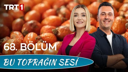 Bu Toprağın Sesi 68. Bölüm - İç Mekanda Bitki Bakımı