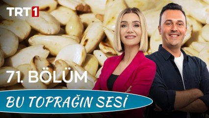 Bu Toprağın Sesi 71. Bölüm - Gülnar Tarımı Ve Badem Tarımının Gülnar’a Katısı