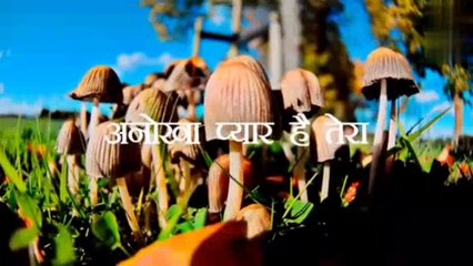 शून्य से लेके तूने मुझे # SHUNY SE LEKE TUNE MUJHE #