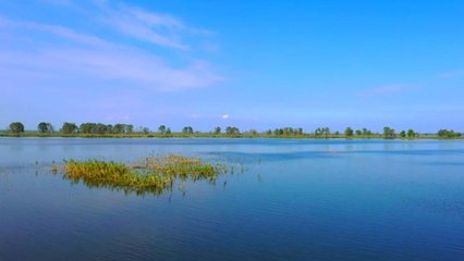 Çin'in Orta Kesimindeki Xiase Gölü, Çevresel Restorasyonun Ardından Yeniden Canlandı