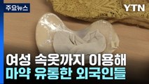 초콜릿·속옷에 마약 숨겨 밀수...14명 무더기 기소 / YTN