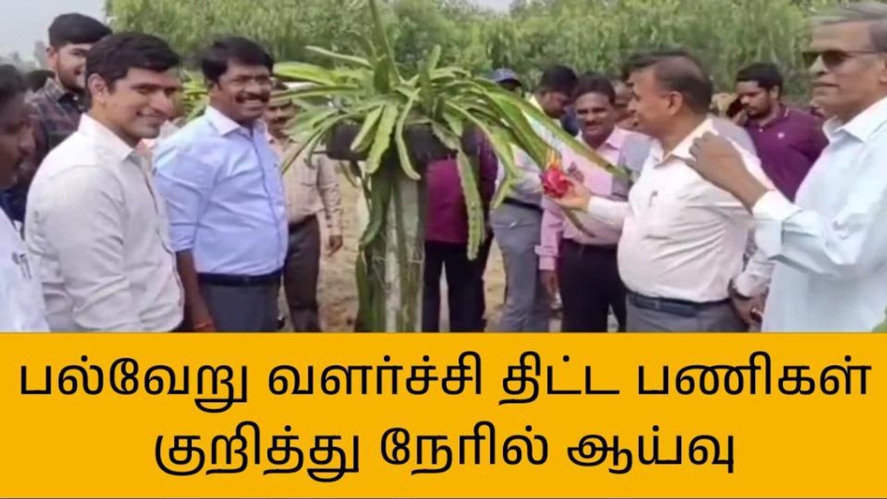 விழுப்புரம்: வளர்ச்சி திட்ட பணிகள் குறித்து ஆட்...