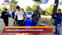 Liberan ejemplares de lince en España