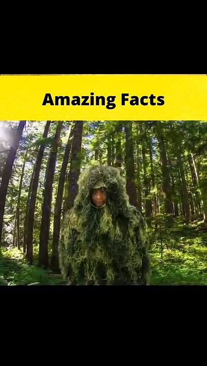 Amazing Facts