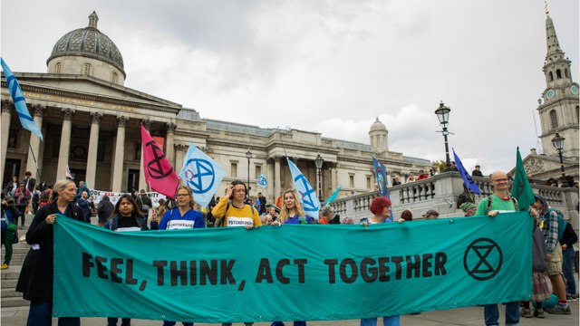 Von Mini-Orchidee bis Elefant: Der Erde könnte ein sechstes Massensterben bevorstehen