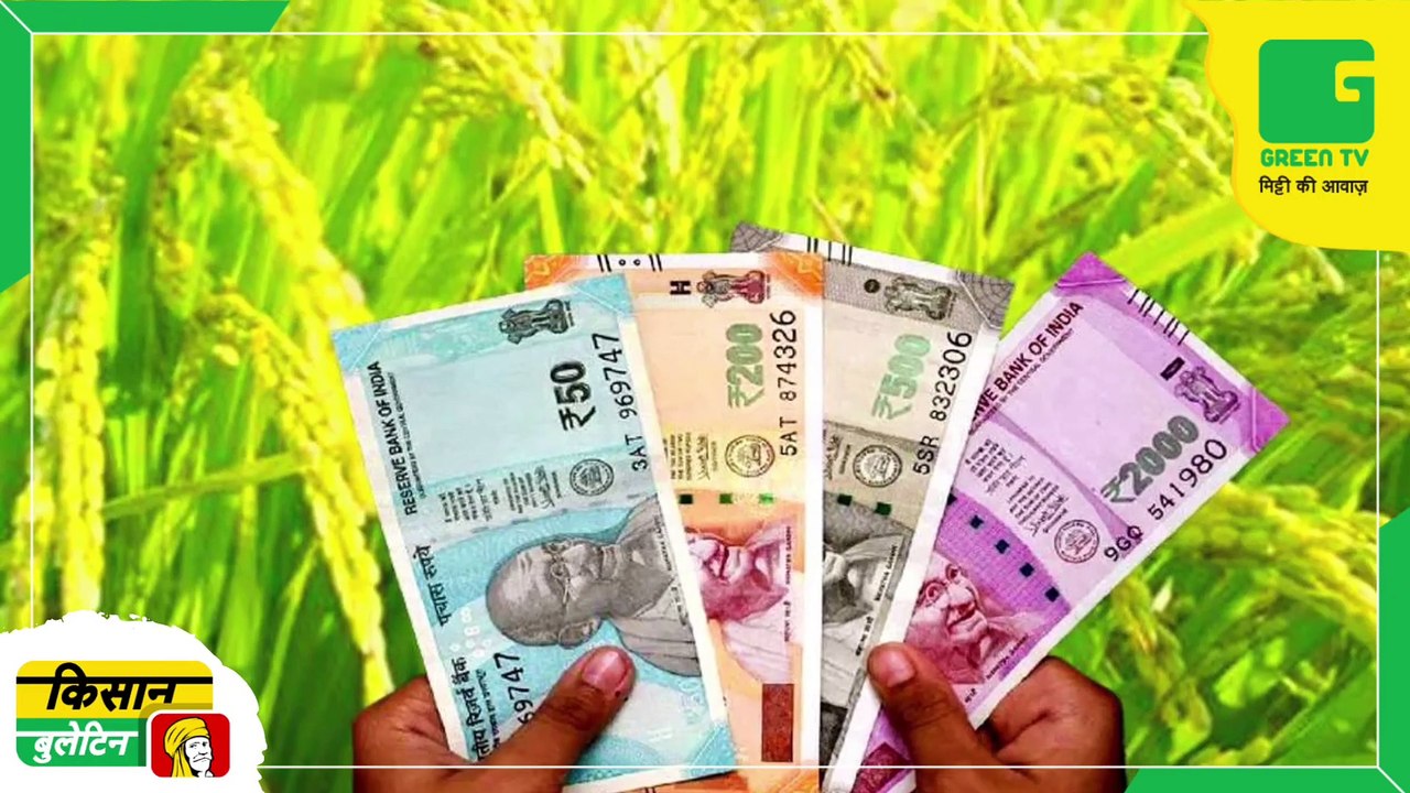 Kisan Bulletin 21 December 2022 - तारबंदी कराने के लिए सरकार द्वारा आमंत्रित किए गए आवेदन, 60 प्रतिशत अनुदान पर ले सकेंगे योजना का लाभ