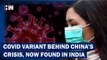 Headlines: Covid Scare Gets Serious! 4 Cases of BF.7, Variant Behind China's Cases Surge, Found In India