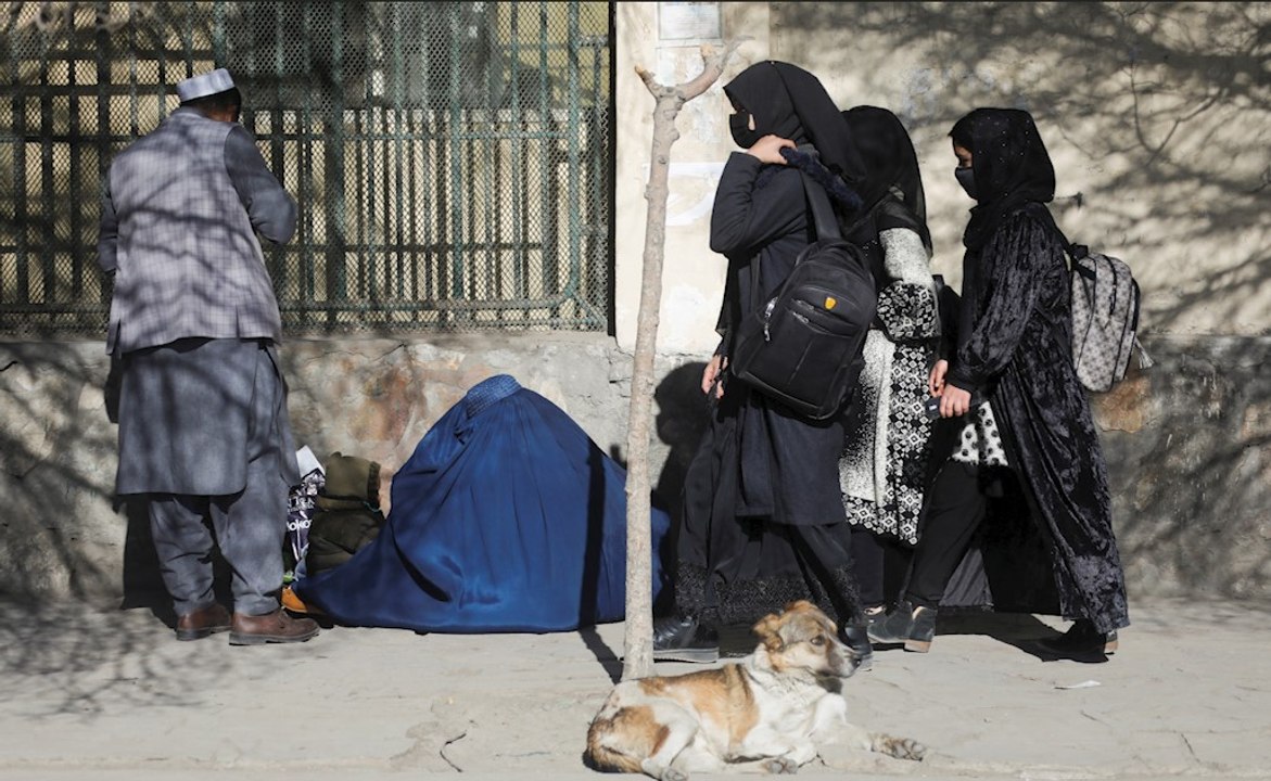 Vídeo | La universidad, el último veto del régimen talibán a las mujeres afganas