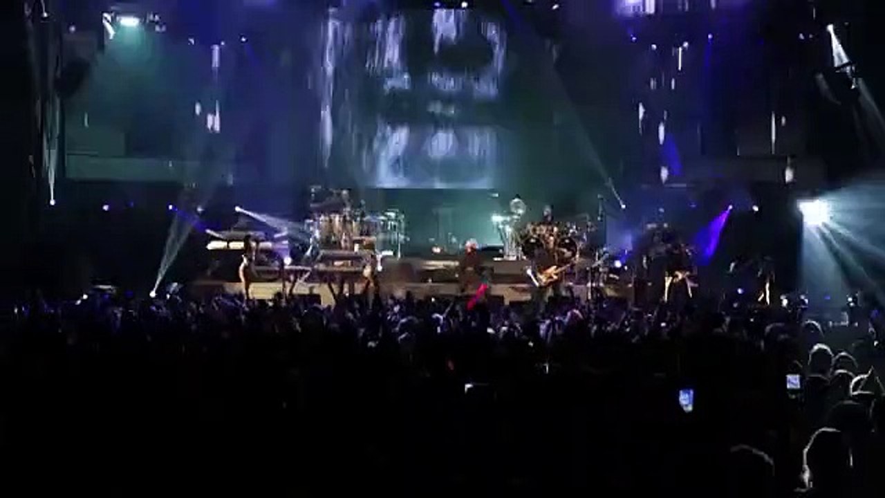 Pitbulls Gentlemens Code | Health   Fitness