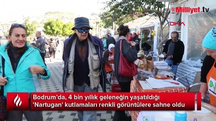 Bodrum'da Nartugan coşkusu: 4 bin yıllık gelenek