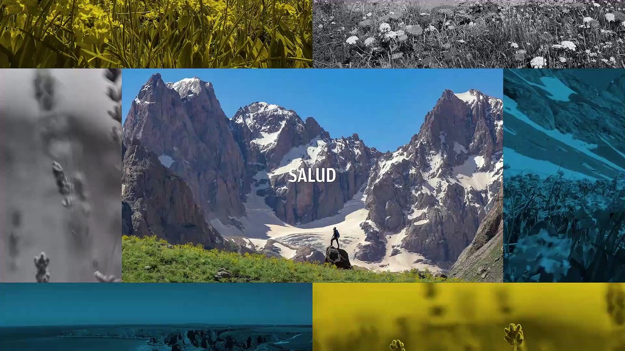 OKSALUD | Red pública de salud mental