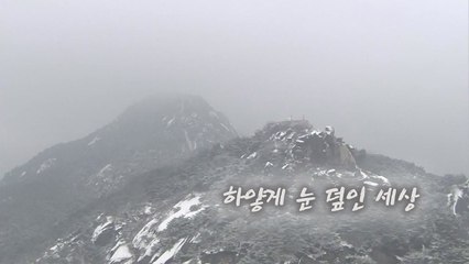 [영상] 하얗게 눈 덮인 세상 / YTN