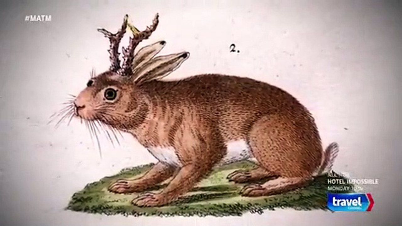 Mysteries at the Museum - Se10 - Ep05 HD Watch HD Deutsch