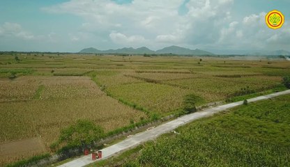 Jalan Usaha Tani Mudahkan Petani di Jember Akses Lahan Pertanian