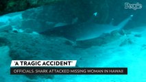 Officials Say Shark Attacked Woman Who Vanished While Snorkeling with Husband, Blast 'Conspiracy Theories'