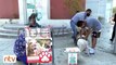 Registran tres nuevos casos de rabia canina en Cochabamba