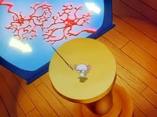 Pinky and the Brain - Se1 - Ep05 HD Watch HD Deutsch