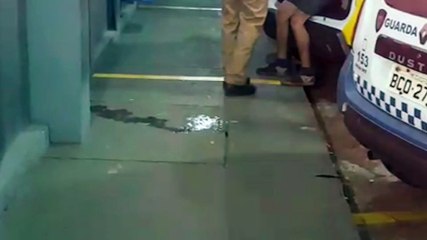 Após furtar carne, banana e whisky, trio é detido