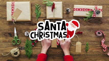 Christmas Wreath Ideas | Christmas Decoration