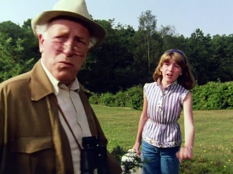 Fünf Freunde Staffel 1 Folge 7