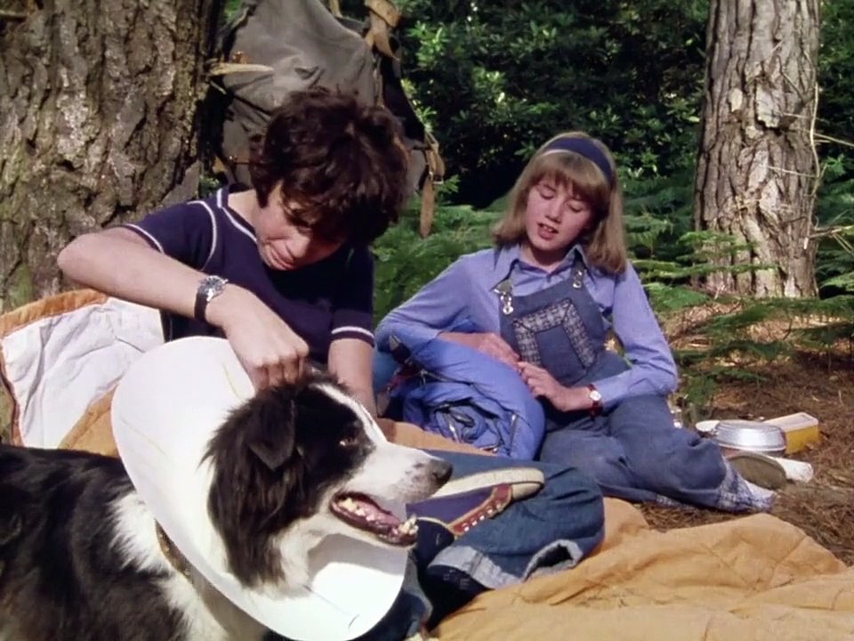 Fünf Freunde Staffel 1 Folge 11