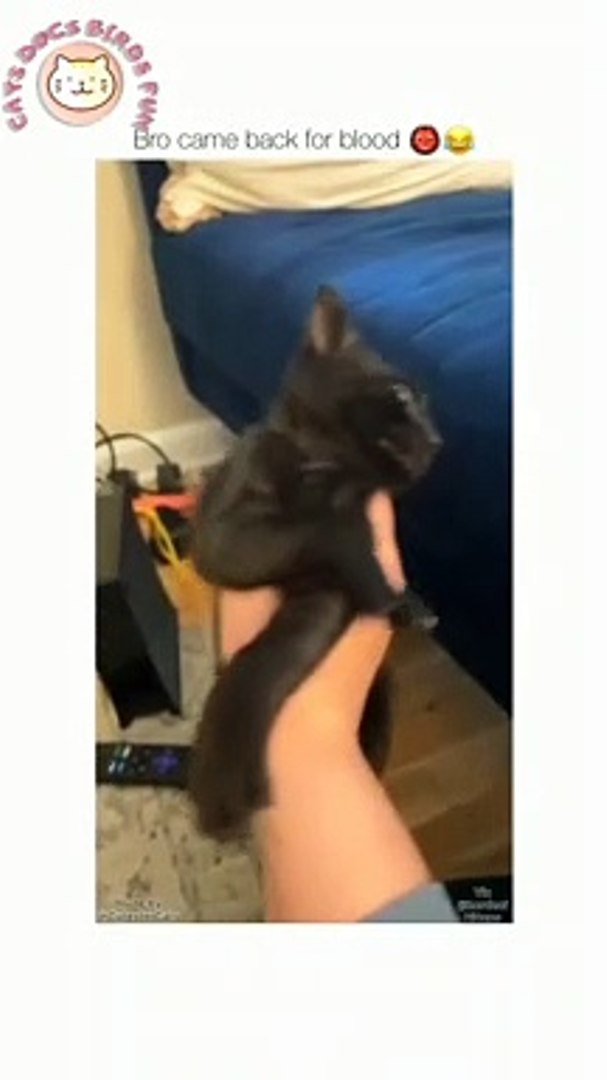 ⁣Cute Pets Moments