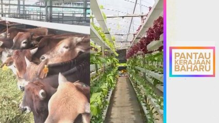 Pantau Kerajaan Baharu | Perkukuh jaminan keselamatan makanan negara
