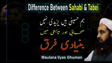 Sahabi vs. Tabei: Understanding the Differences for Hussaini Identity 🕌