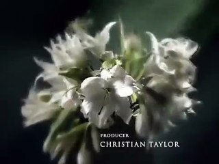 Six Feet Under - Se2 - Ep03 - The Plan HD Watch HD Deutsch