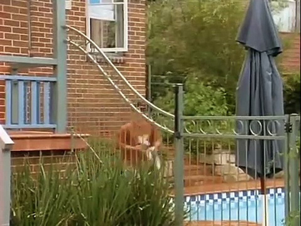 Spellbinder - Land of the Dragon Lord - Se1 - Ep13 HD Watch HD Deutsch