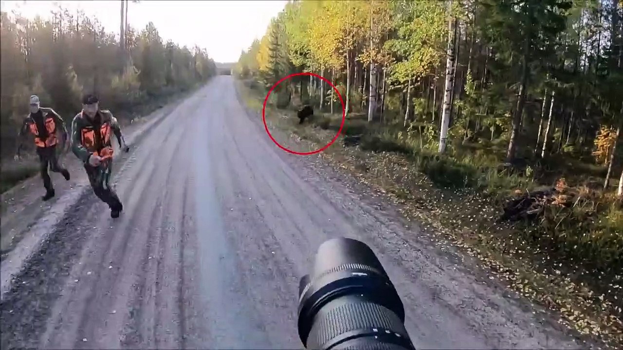 12 Times Hunters Messed With The Wrong Animals (Part 5)