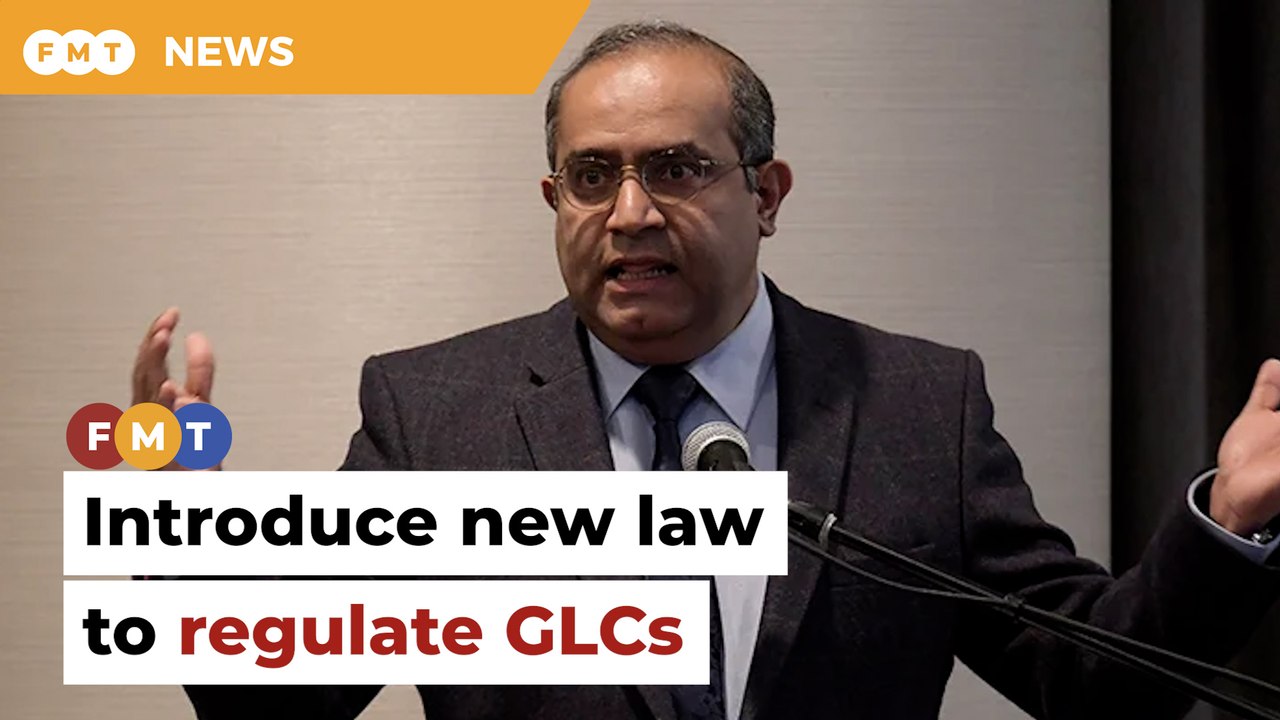 Introduce law for GLCs, economist urges Anwar