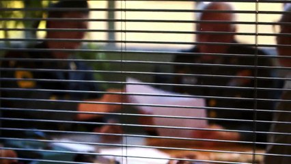 NASA's Unexplained Files - Se2 - Ep07 HD Watch HD Deutsch