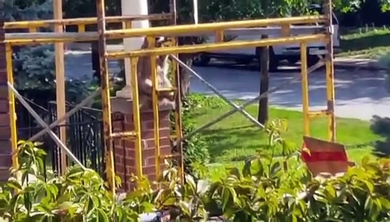 Nature's Strangest Mysteries - Solved - Se1 - Ep02 HD Watch HD Deutsch