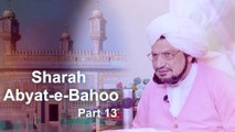 Sharah Abyat-e-Bahoo | Interpretation Abyat-e-Bahoo | Sultan-ul-Ashiqeen | شرح ابیاتِ باھُو |Part 13