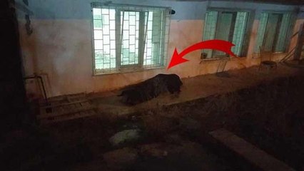 Boşanma aşamasındaki karısının evinin önünde canına kıydı