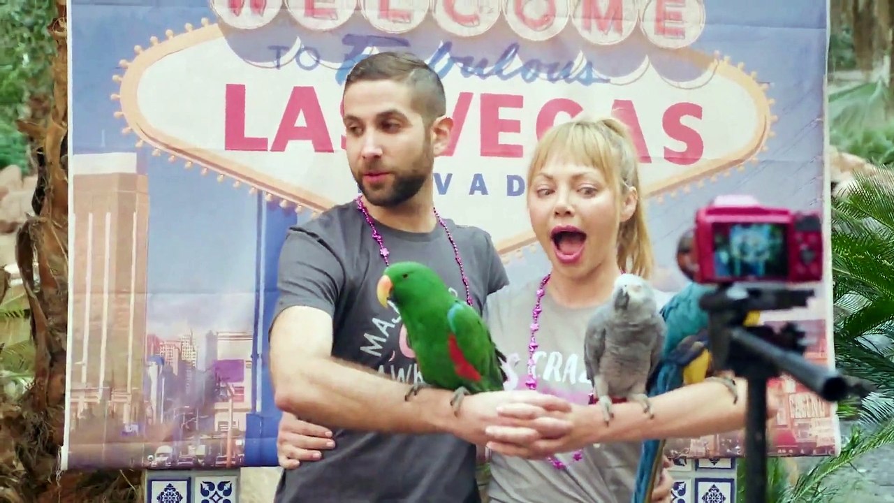 Engaged in Vegas (2021) Watch HD HD Deutsch