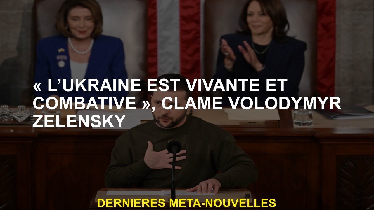 "L'Ukraine est vivante et combative", affirme Volodymyr Zelensky