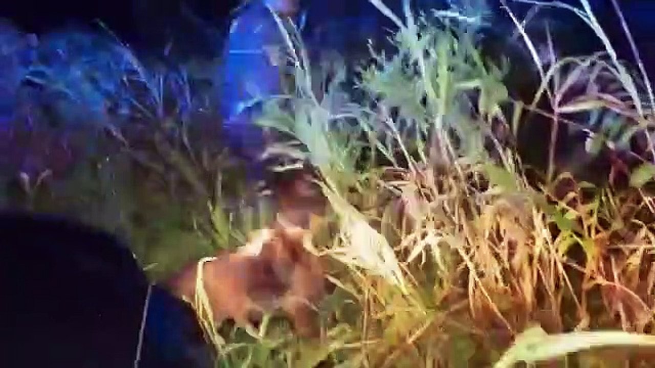 Live PD - Se3 - Ep61 - 04.26.19 HD Watch HD Deutsch