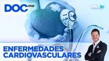 Colesterol y enfermedades cardiovasculares - Doc Chat