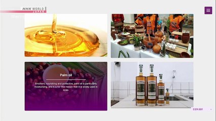 Sharing the Future - Borderless Opportunities through Web Development in Benin