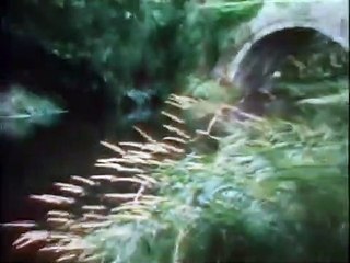 In Search of... - Se1 - Ep24 HD Watch HD Deutsch