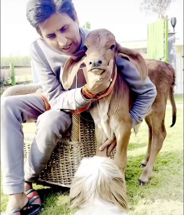 Kumar Vishwas funny moments