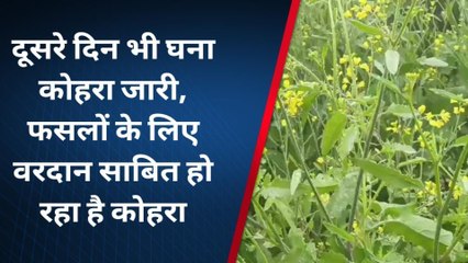 खाजूवाला: कोहरे की आगोश में लिपटा बीकाणा, देखें मौसम का ताजा हाल