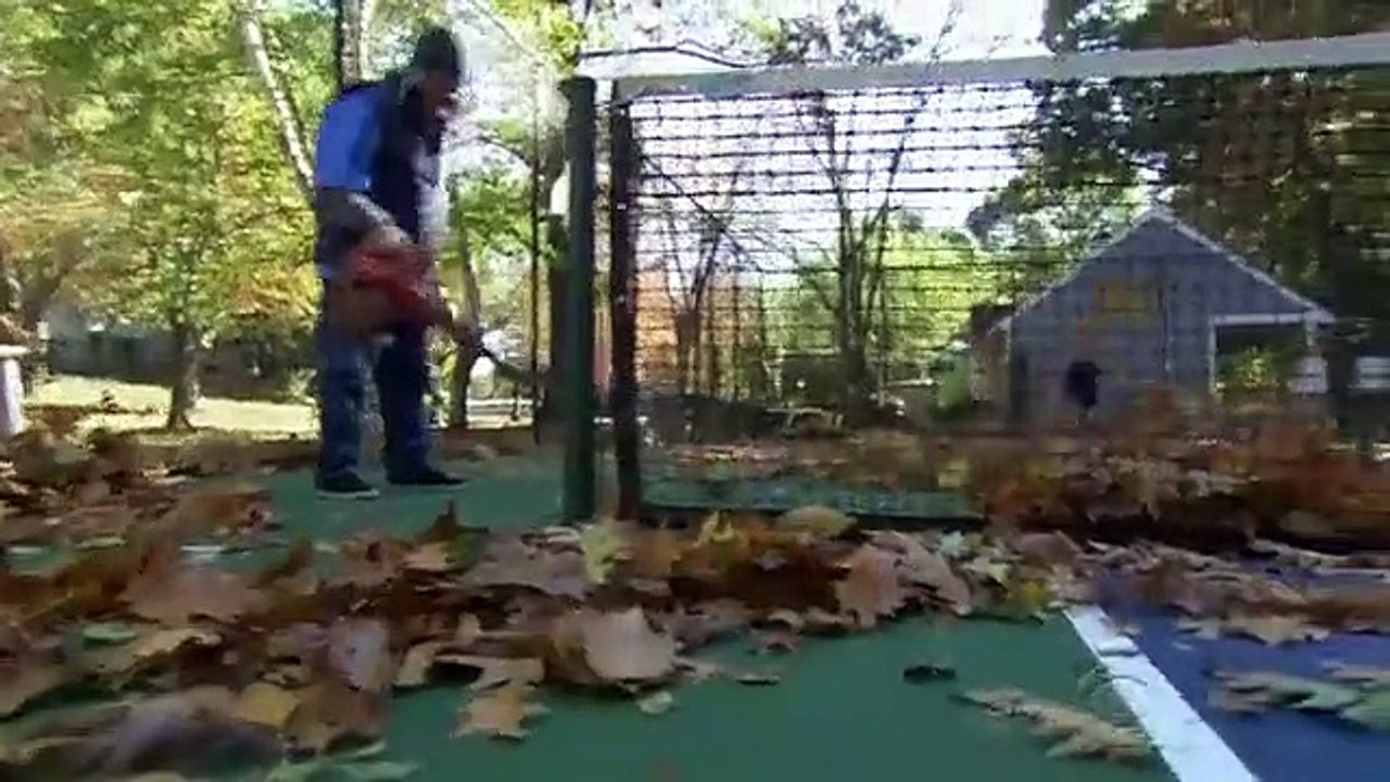 Undercover Boss (US) - Se8 - Ep08 - Associa HD Watch HD Deutsch