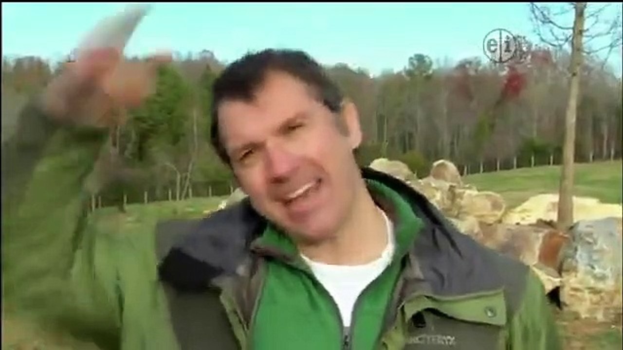 Wild Kratts - Se1 - Ep22 HD Watch HD Deutsch