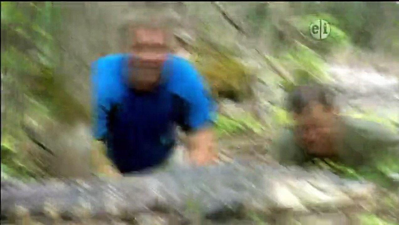 Wild Kratts - Se1 - Ep26 HD Watch HD Deutsch