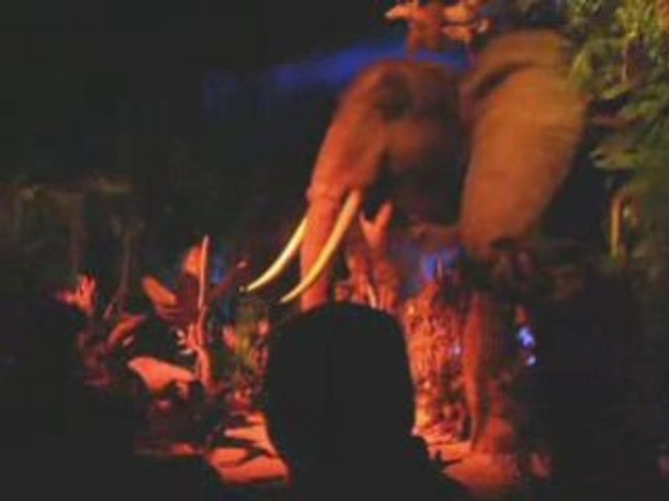 Hollywood_tour