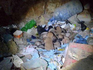 Eskişehir'de vicdanları hem sızlatan hem de ısıtan olay