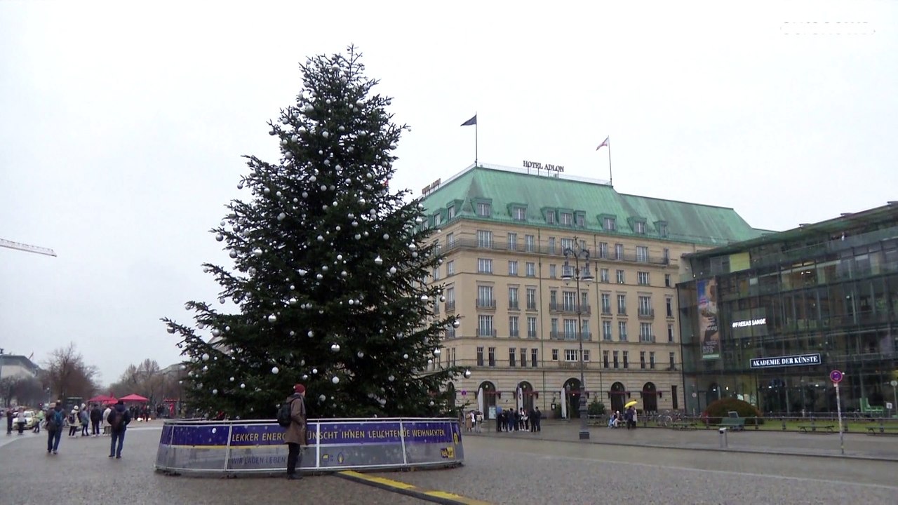 'Das ist nur die Spitze': Aktivistinnen kappen Weihnachtsbaum in Berlin